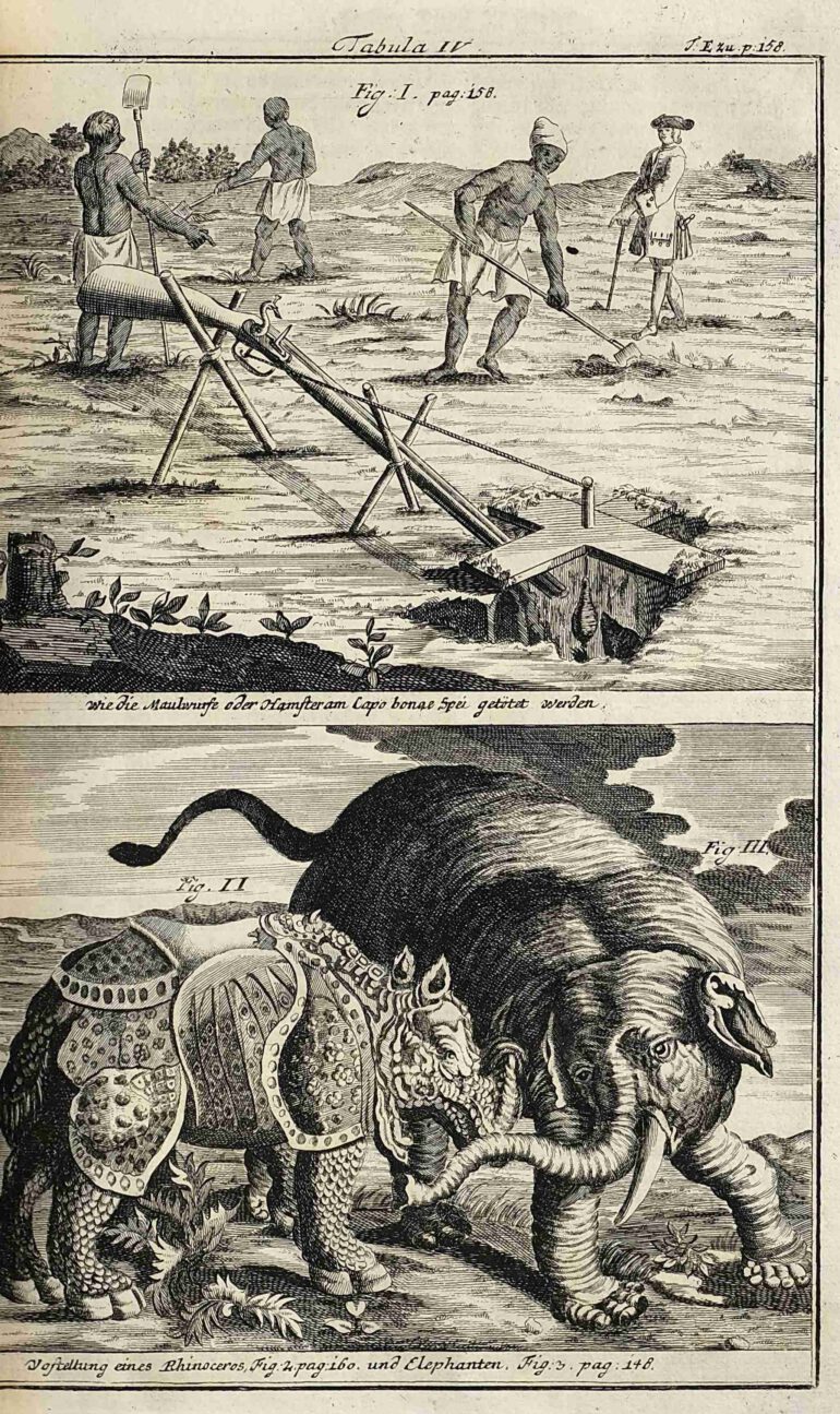 Kolb 1719 Rhino-Elephant fight