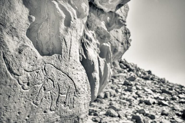 Rhino in Tadrat Rouge