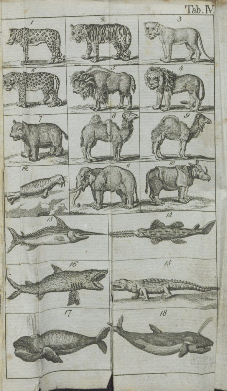 Raff 1792 Naturgeschichte