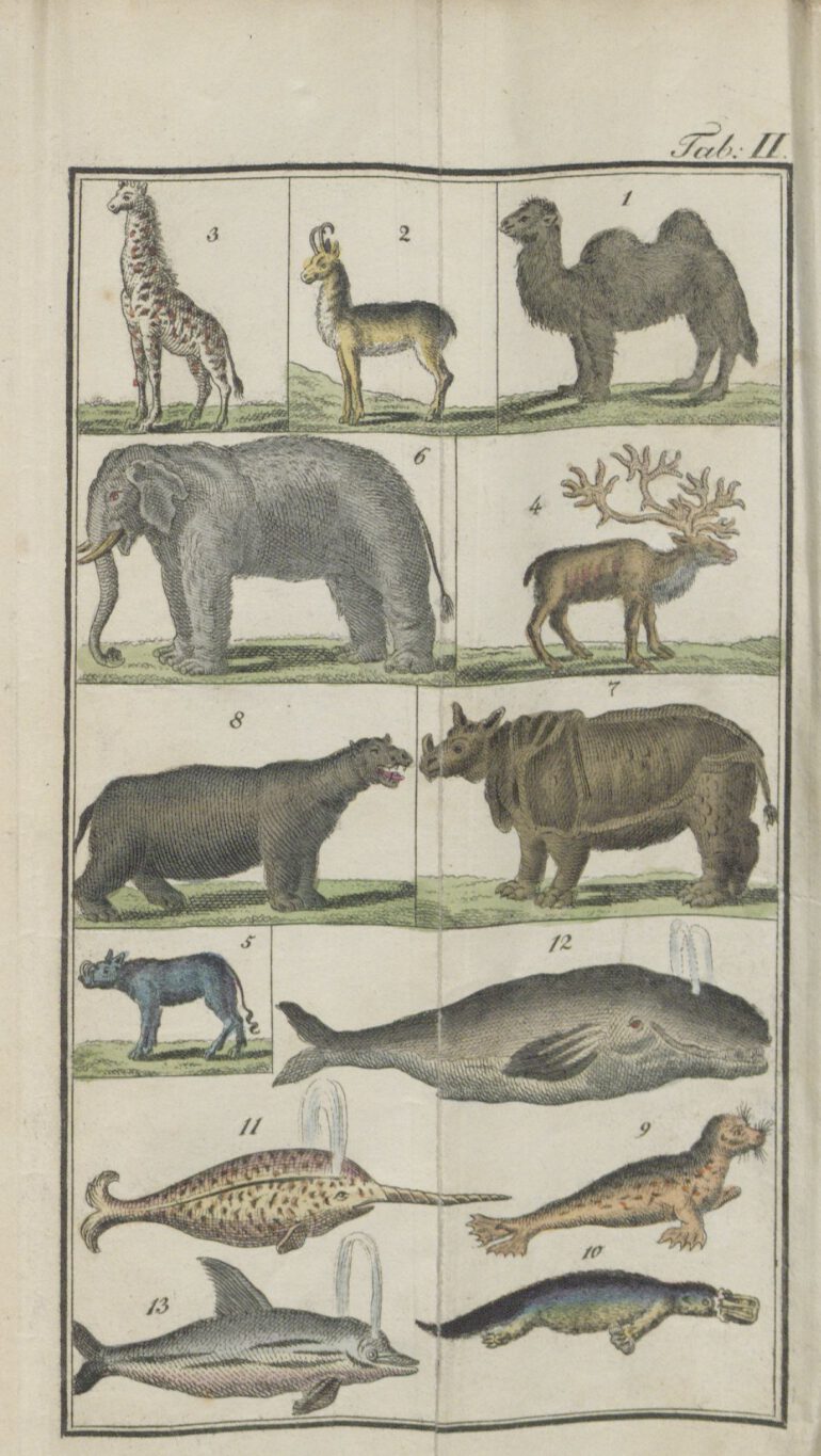 Funke 1841 Naturgeschichte