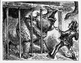 Blissett Bamberger 1875