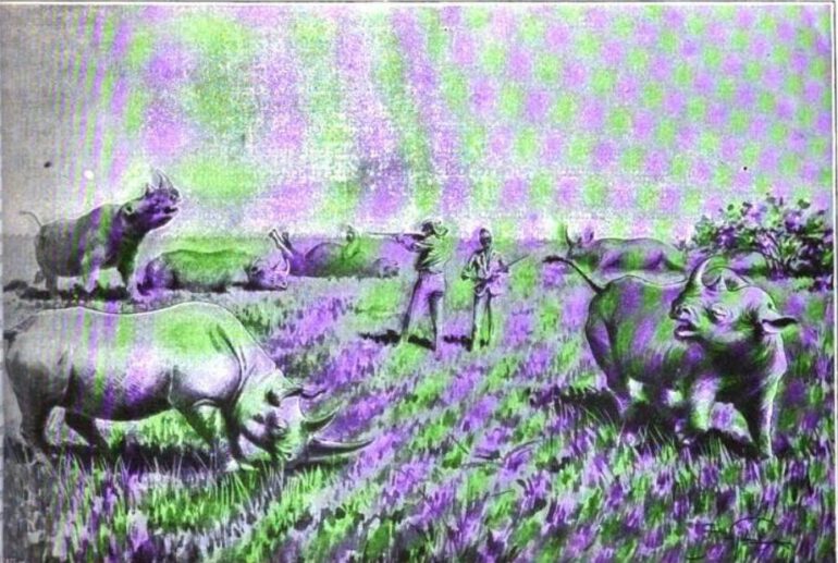 Scheibler 1900 Six rhinos