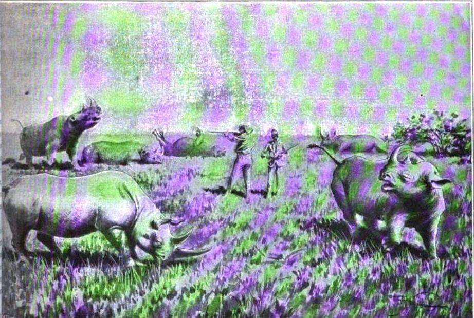 Scheibler 1900 Six rhinos