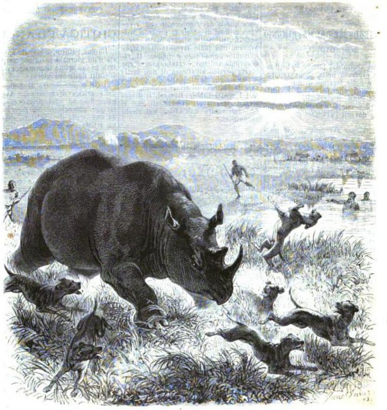 Illustrazione Populare 1882