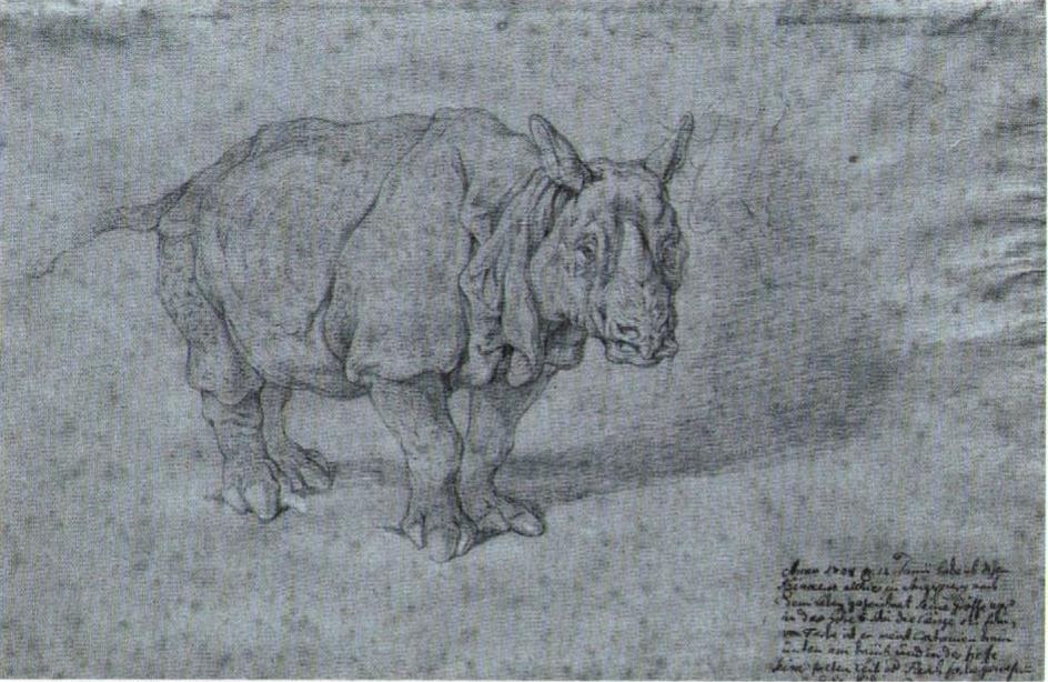 Ridinger 1748 Clara sketch 04