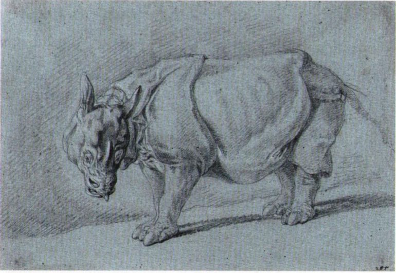 Ridinger 1748 Clara sketch 03