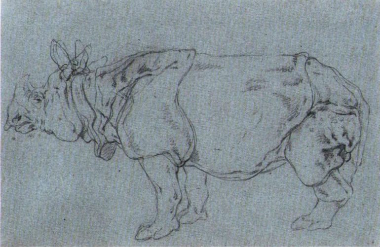 Ridinger 1748 Clara sketch 02