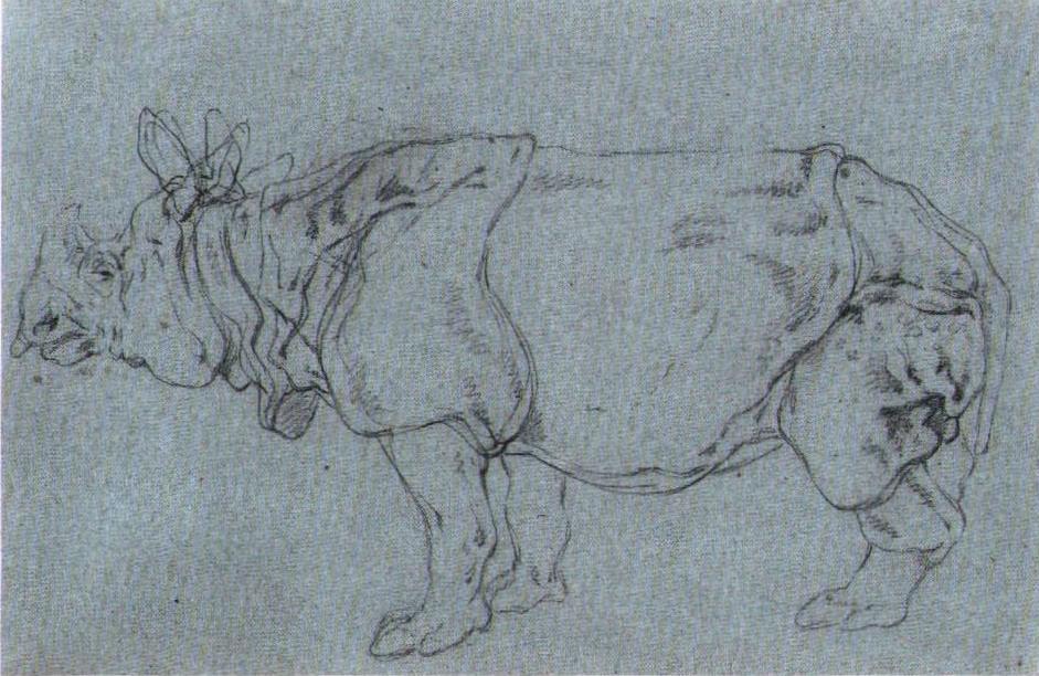 Ridinger 1748 Clara sketch 02