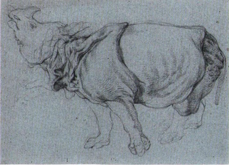 Ridinger 1748 Clara sketch 01