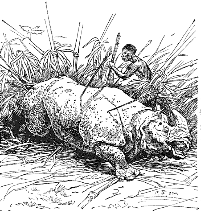 Grube 1888 Thiergeschichten