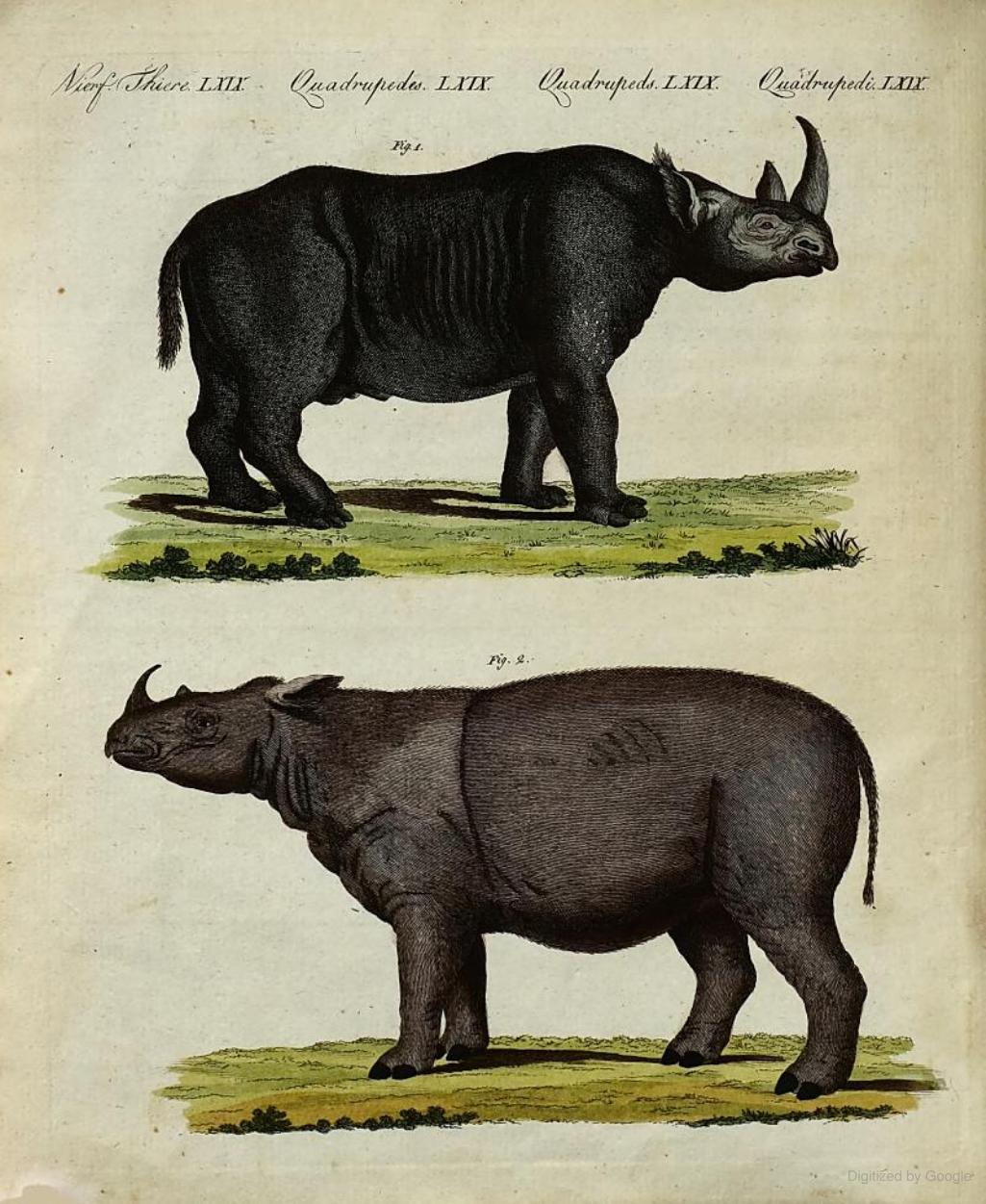 Bertuch 1805 Bilderbuch vol. 5