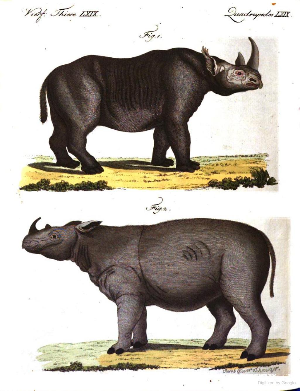 Bertuch 1805 Vienna Bilderbuch