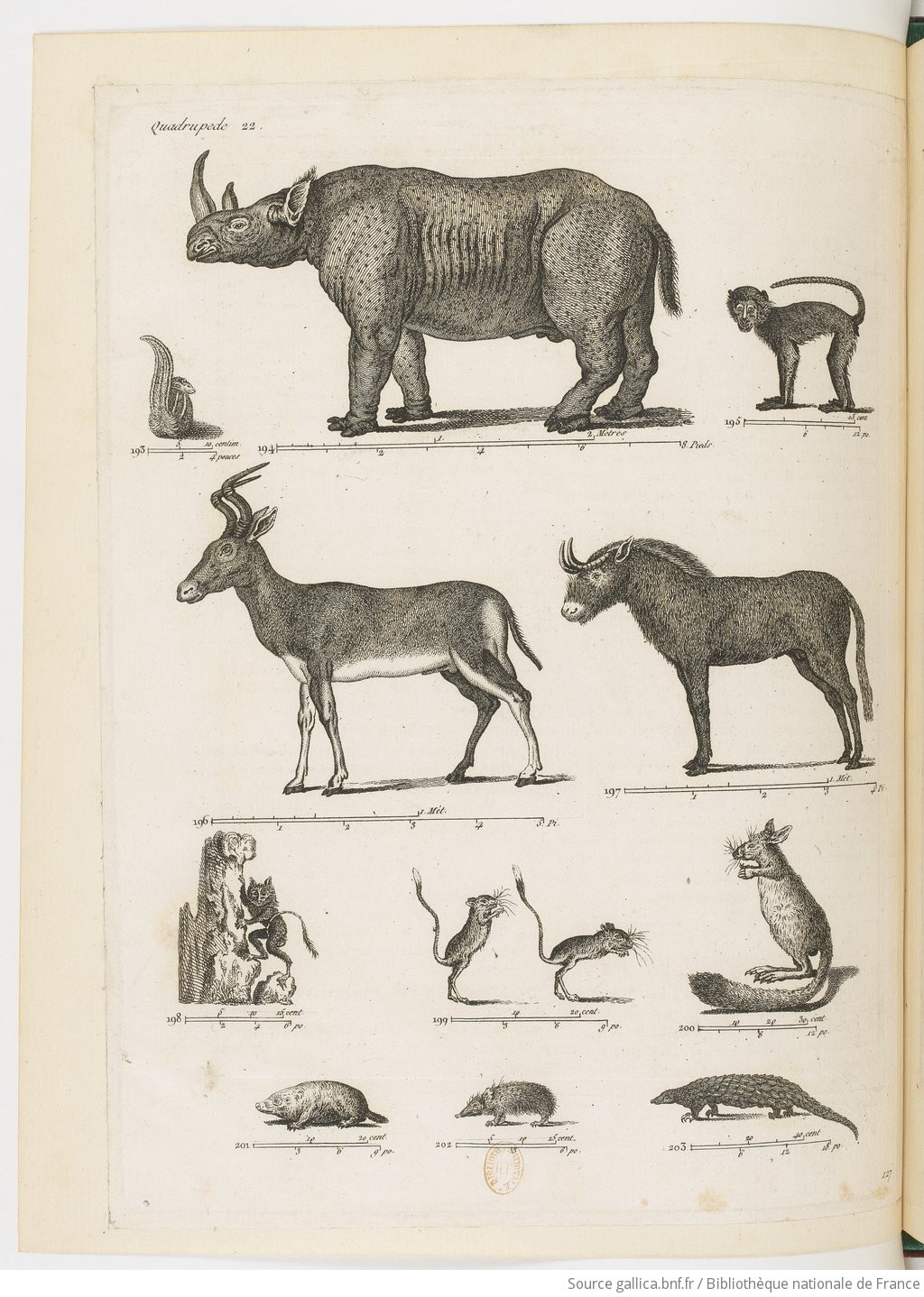 Porte-feuille 1794 bicornis