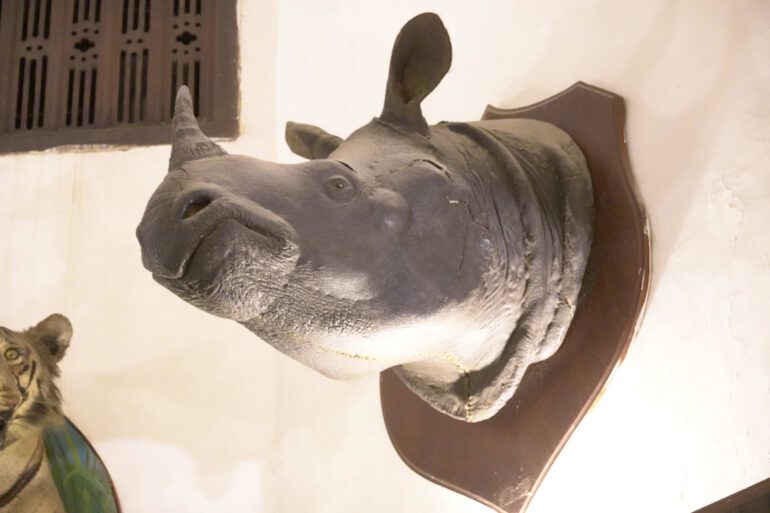 Kota, Umed Bhawan Palace Hotel