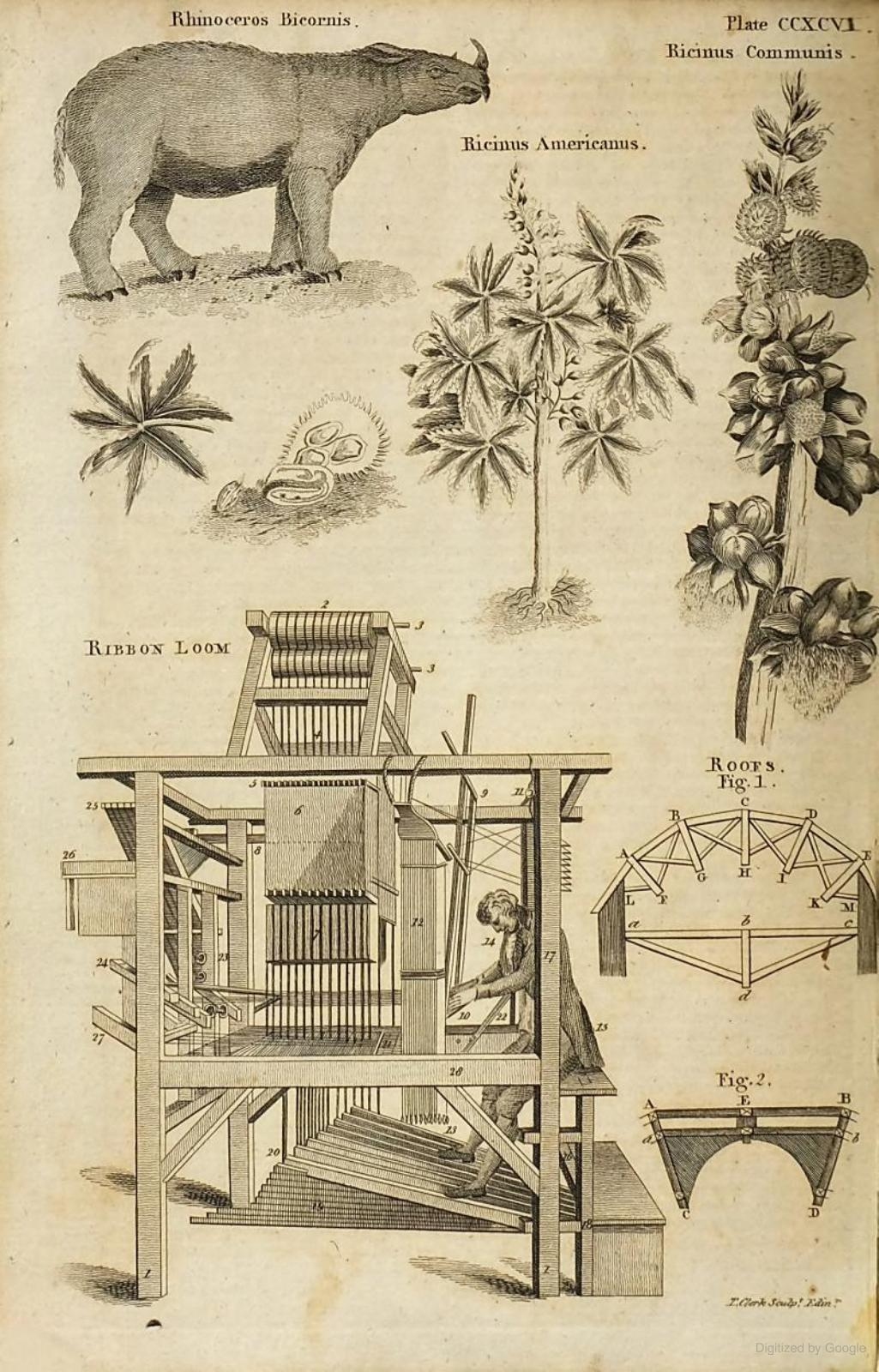Bell 1796 Encyclopaedia Perthensis