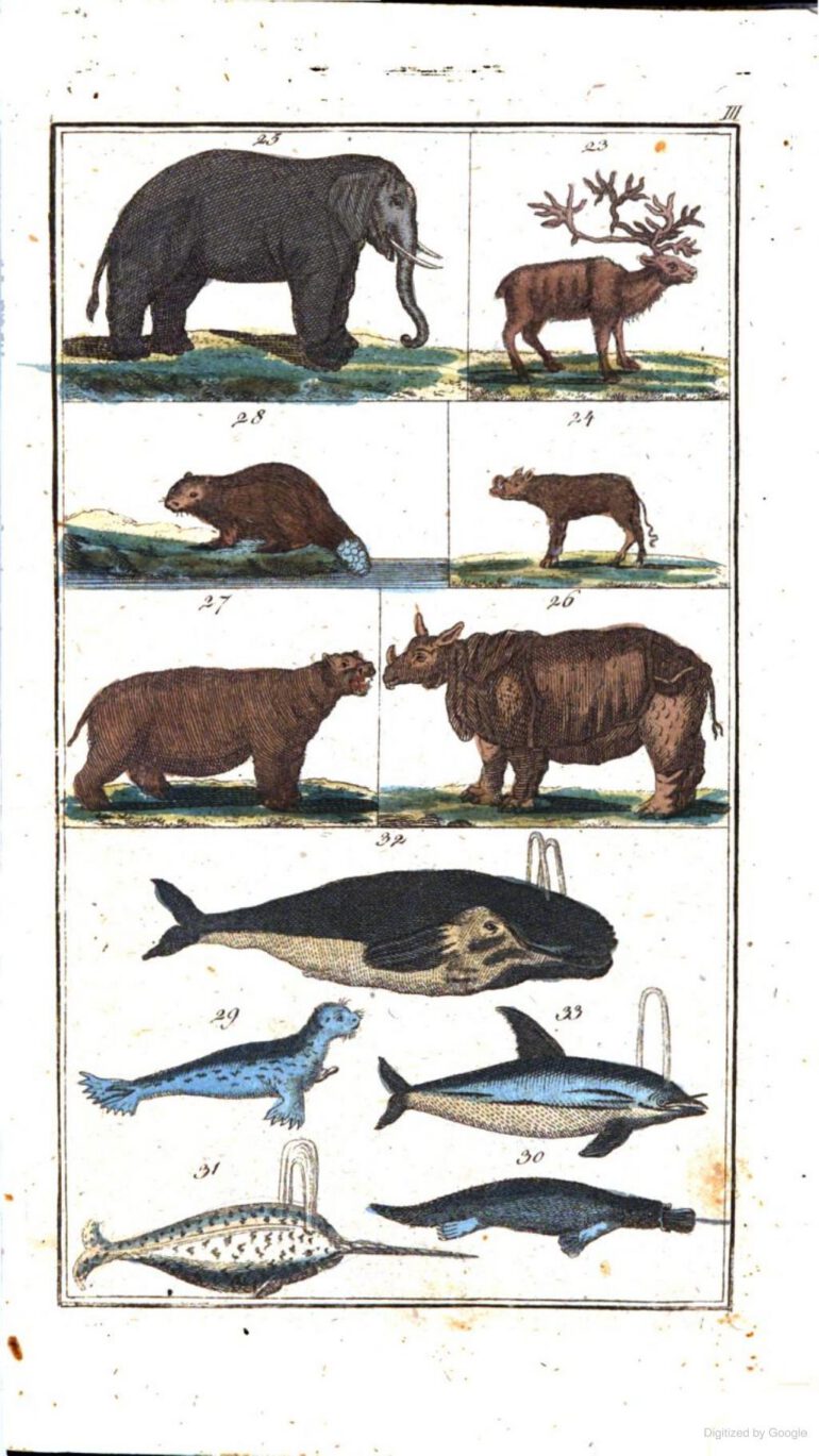 Funke 1808 Naturgeschichte