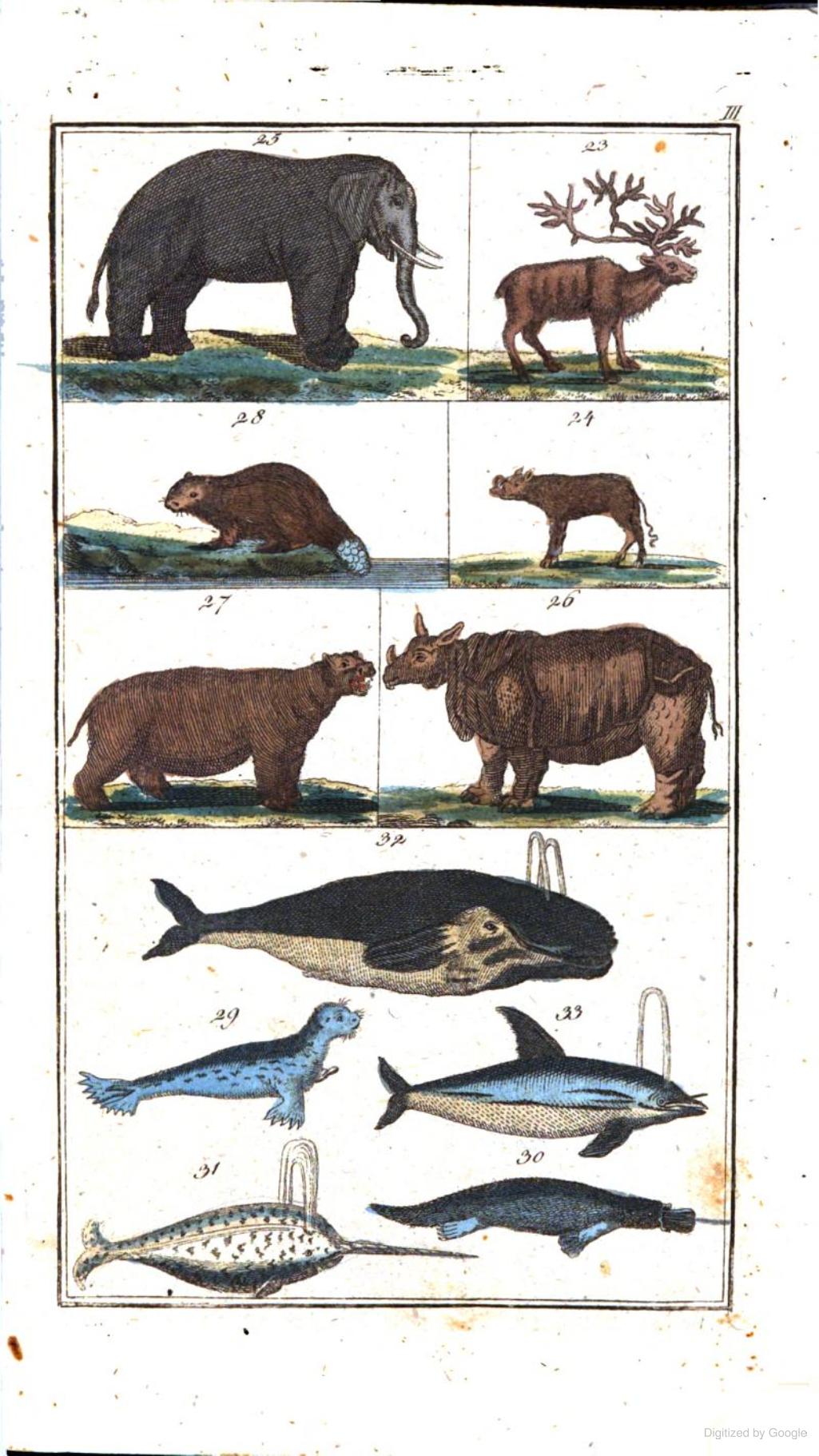 Funke 1808 Naturgeschichte