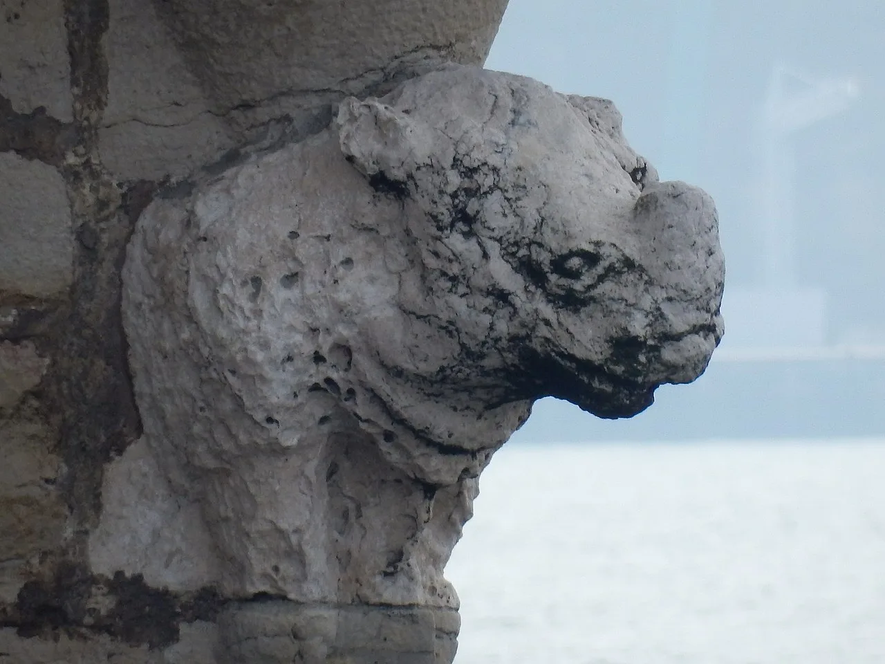Torre Belem 1517 Rhino