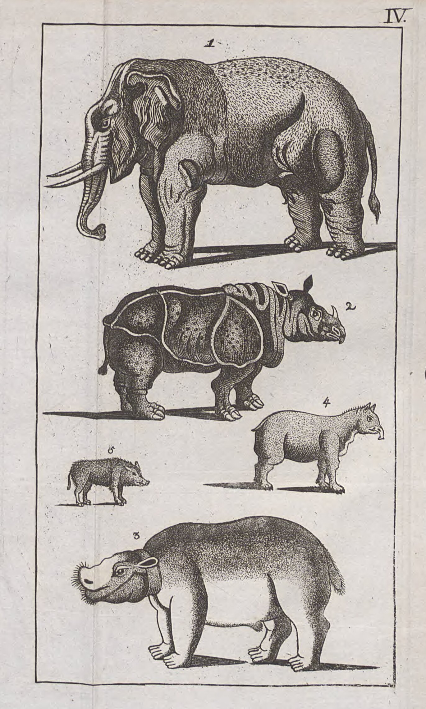 Trimolt 1799 Handbuch