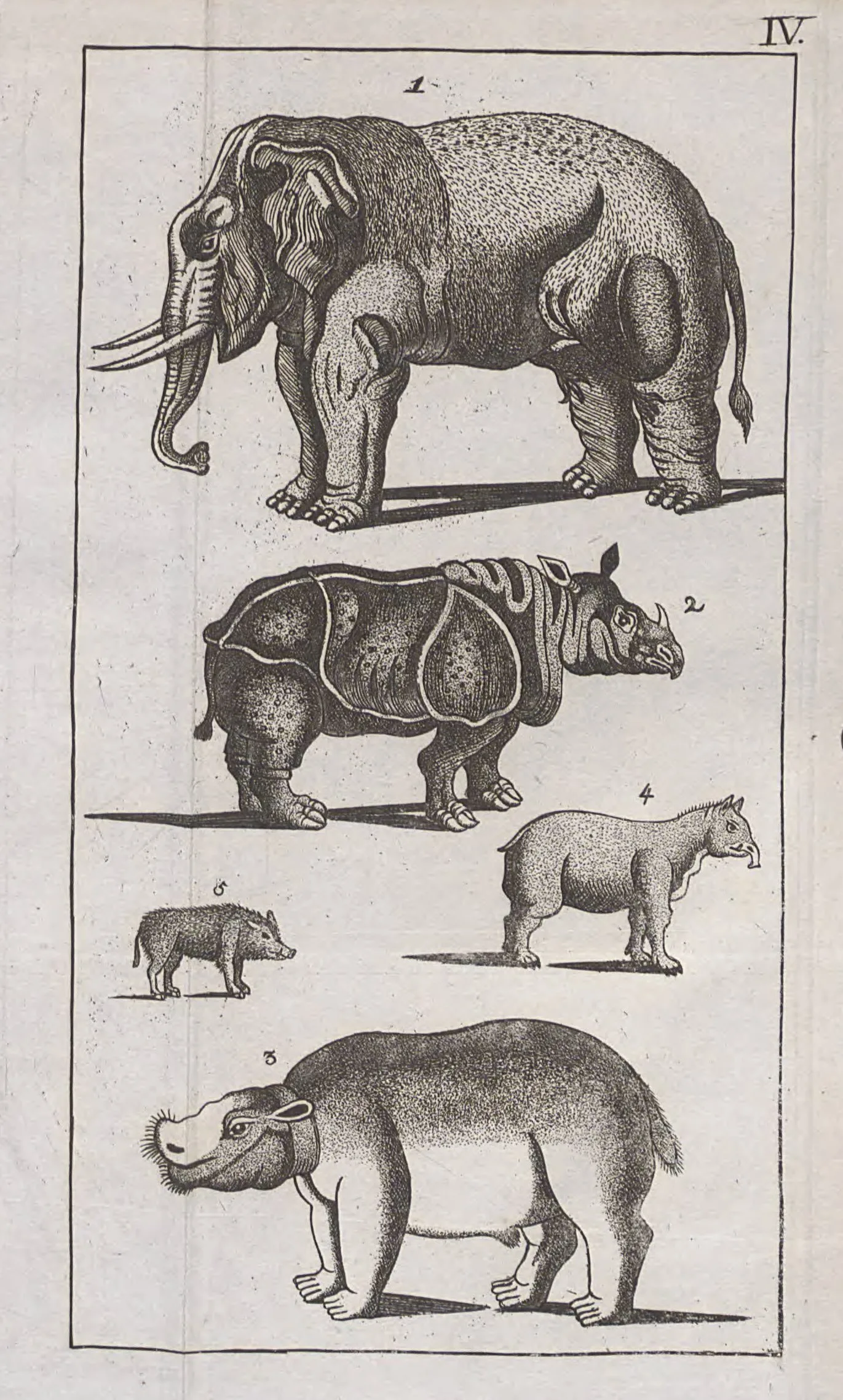 Trimolt 1799 Handbuch