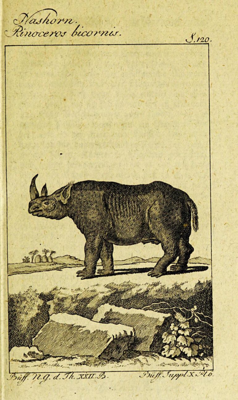 Buffon 1798 Otto edition