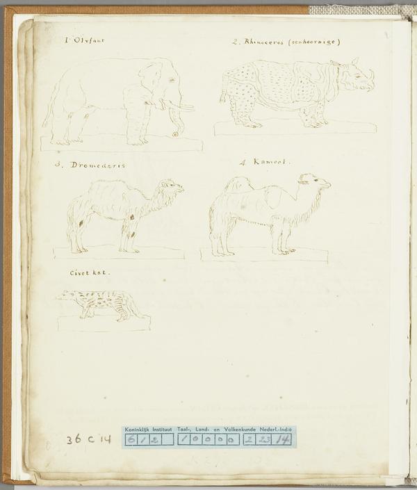 Hoppenstok 1816 Indian