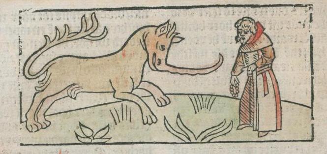 Mayno de Mayneriis 1481