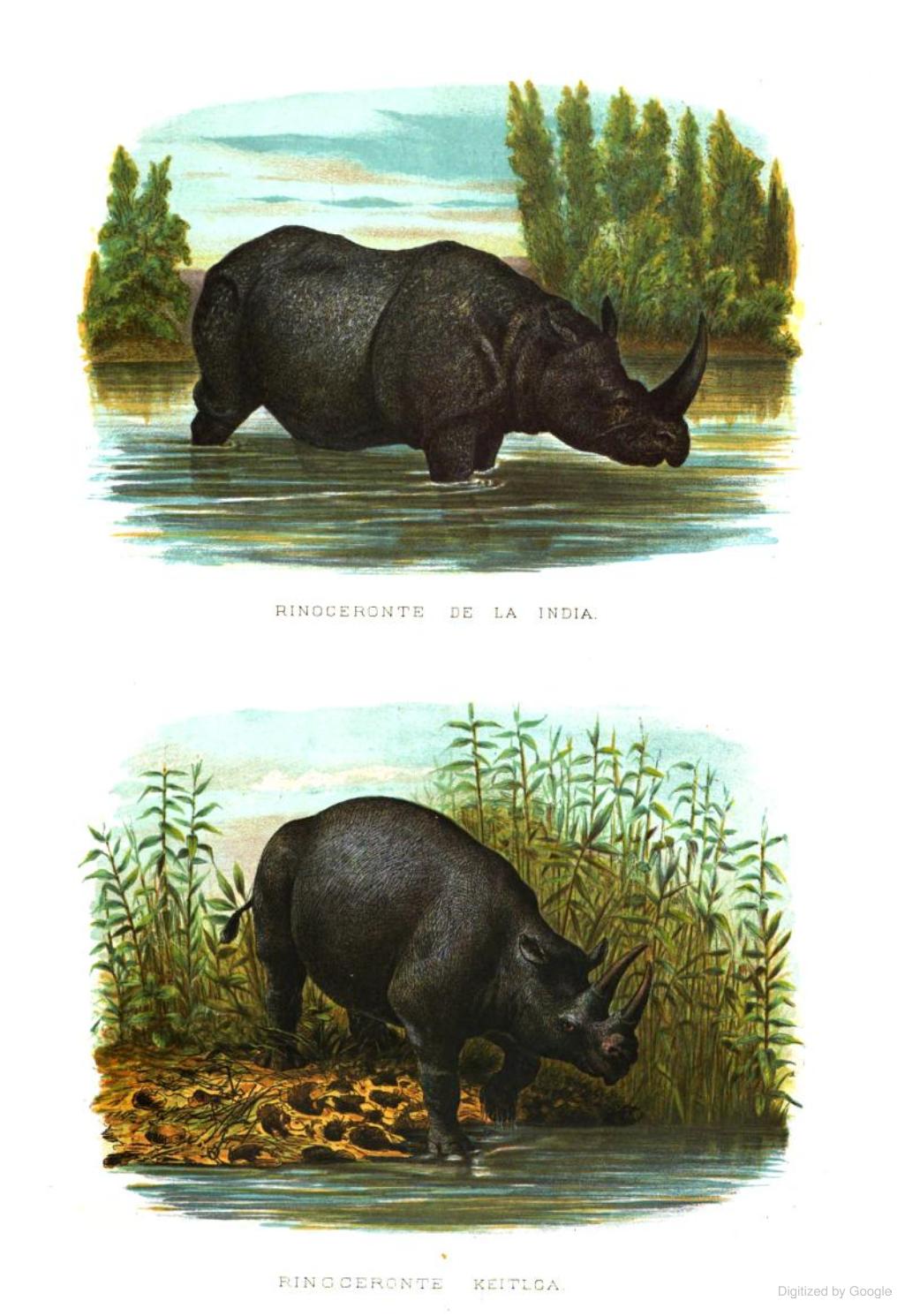 Vilanova 1873 Historia Natural