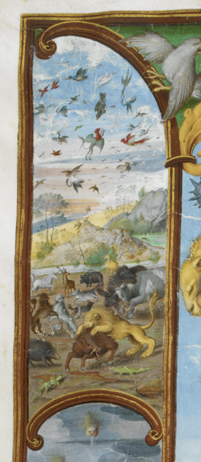 Portuguese Genealogy 1534 detail