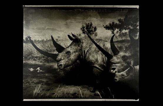 Sarah Moon 1941 Africa