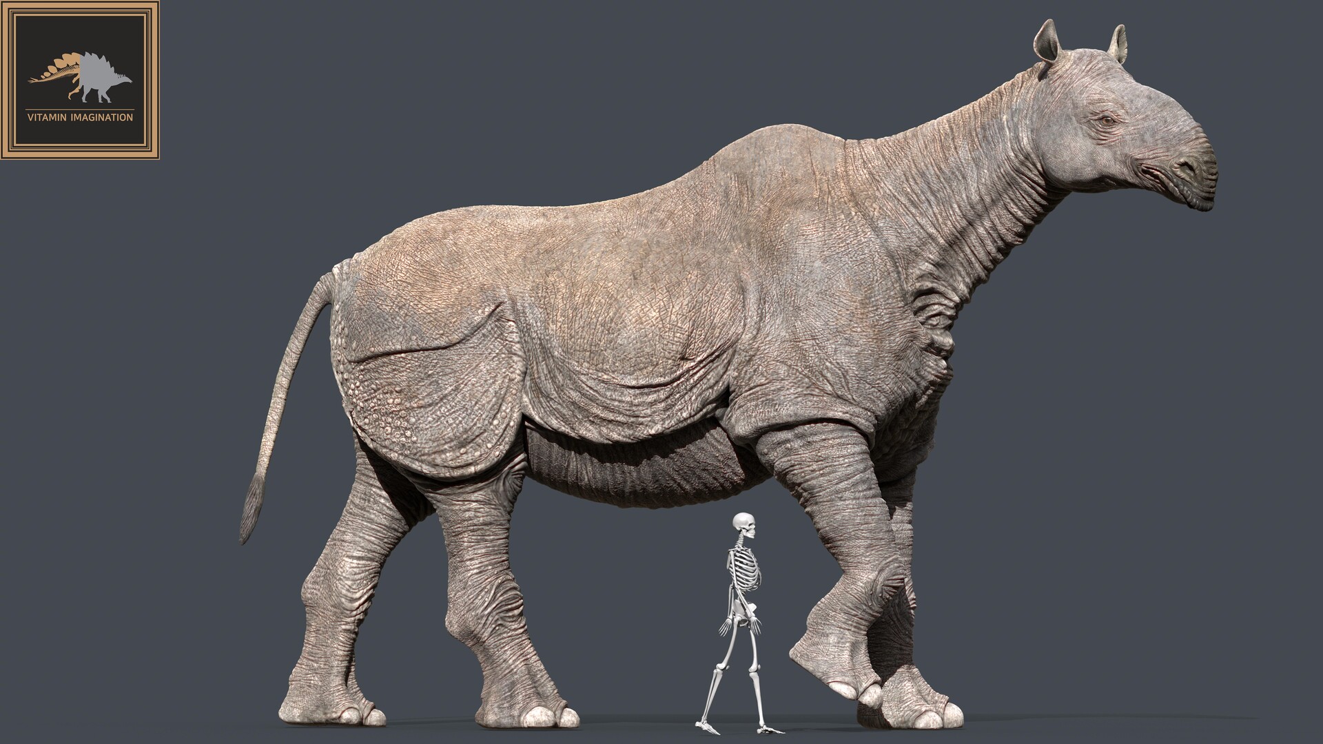 Paraceratherium (an attempt of reconstruction)