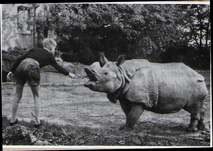 Hagenbeck 1964 Nepali II