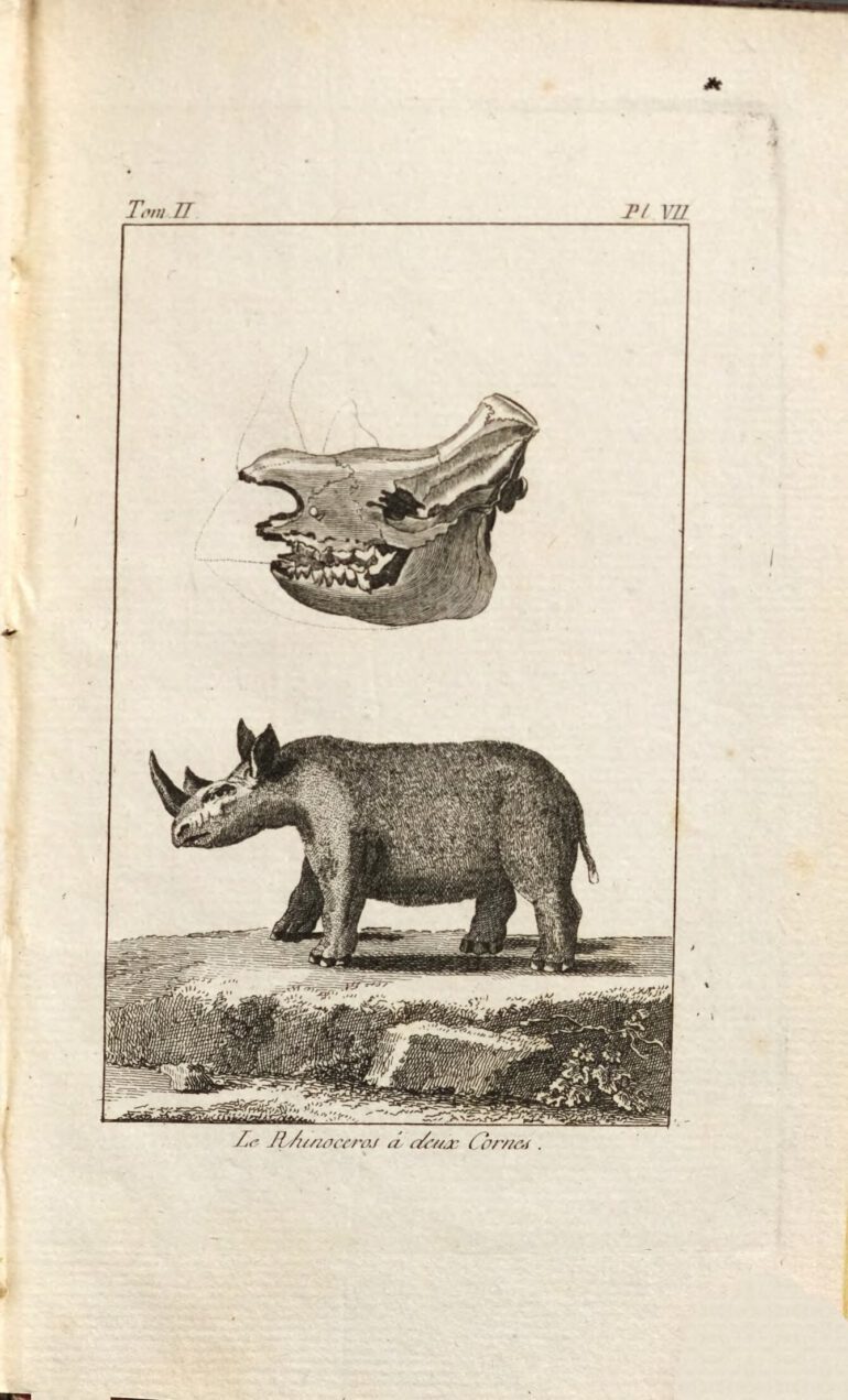 Sparrman 1787 French Voyage