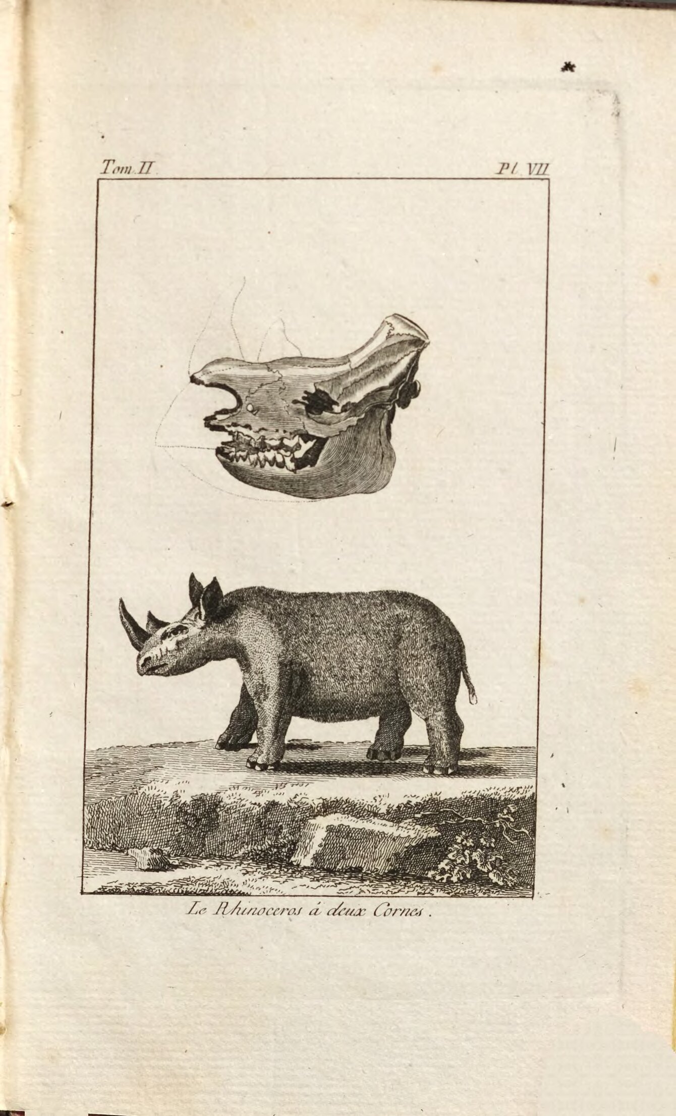 Sparrman 1787 French Voyage