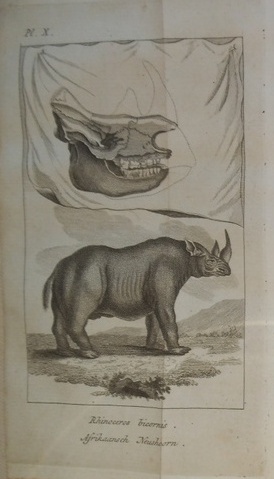 Sparrman 1787 Dutch Voyage