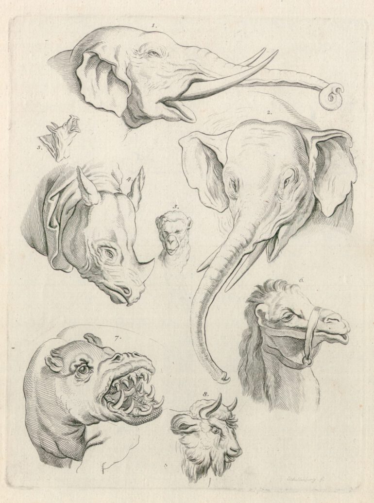 Lavater 1776 Fragment