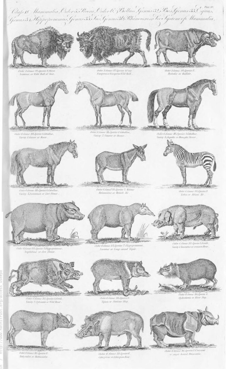 Hall 1797 New Encyclopaedia