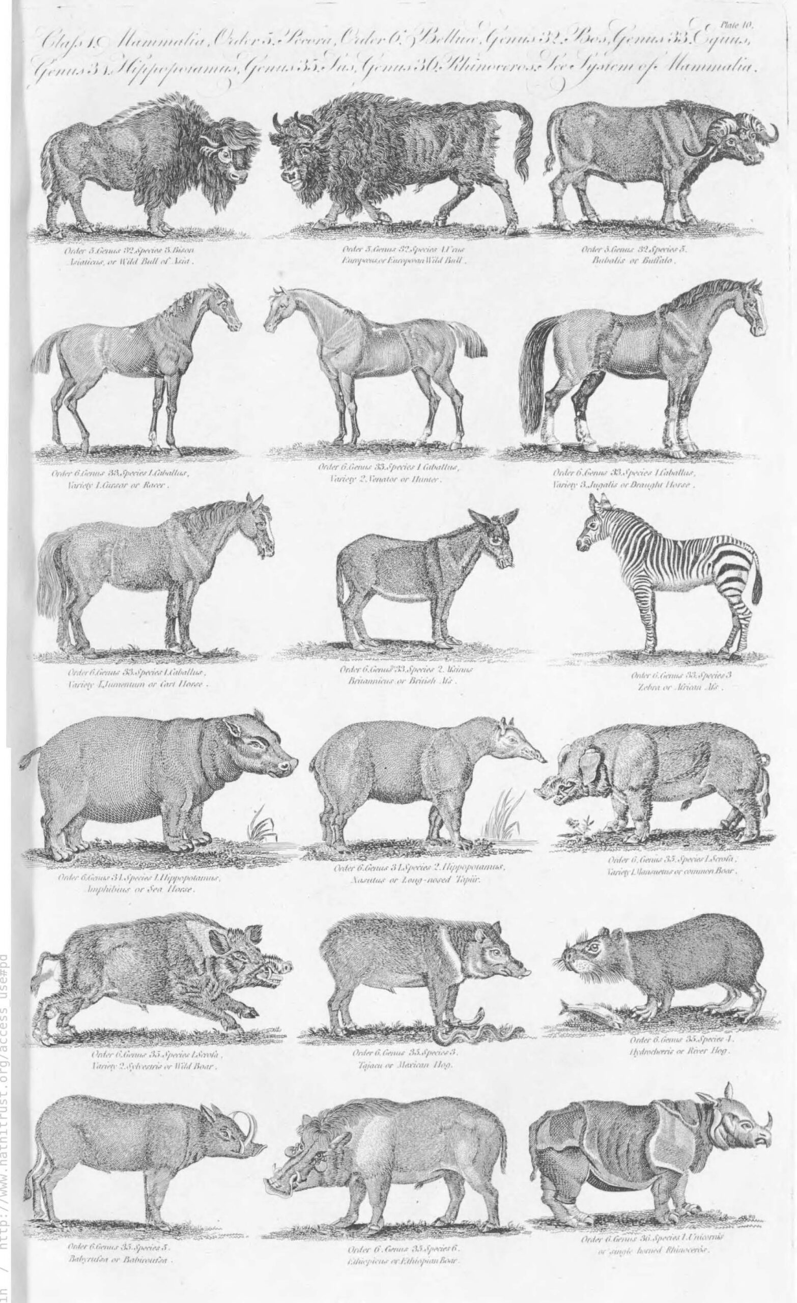 Hall 1797 New Encyclopaedia