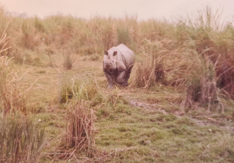 Kaziranga 1996