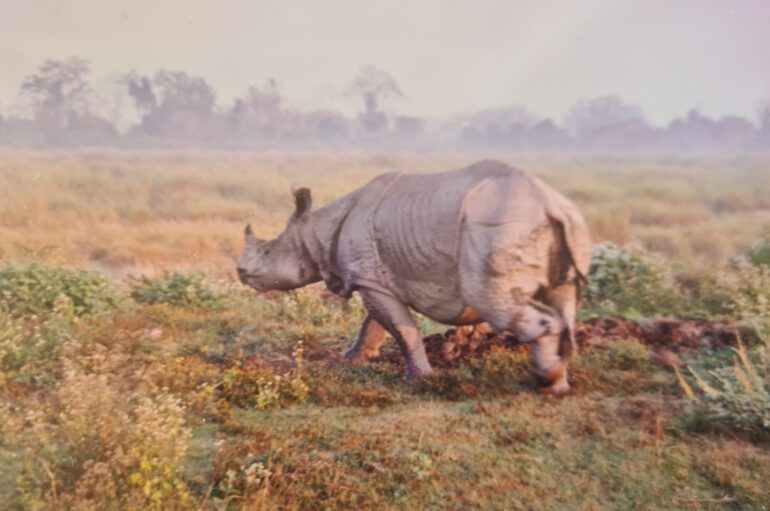 Kaziranga 1996