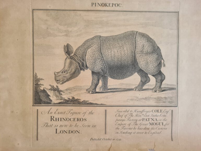 Parsons 1739 PINOKEROC