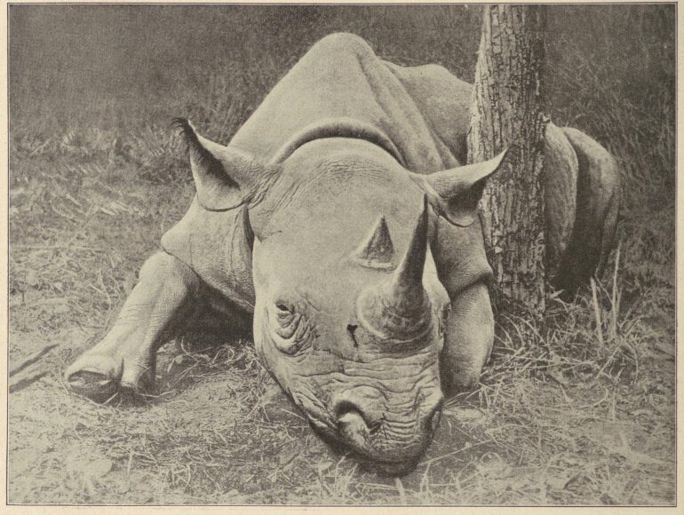 Krueger 1927 Begegnungen