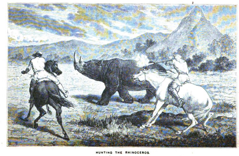Hunting the rhino 1876