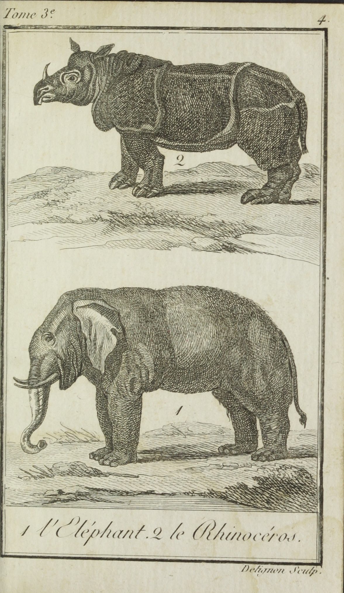 Buffon for young people 1804