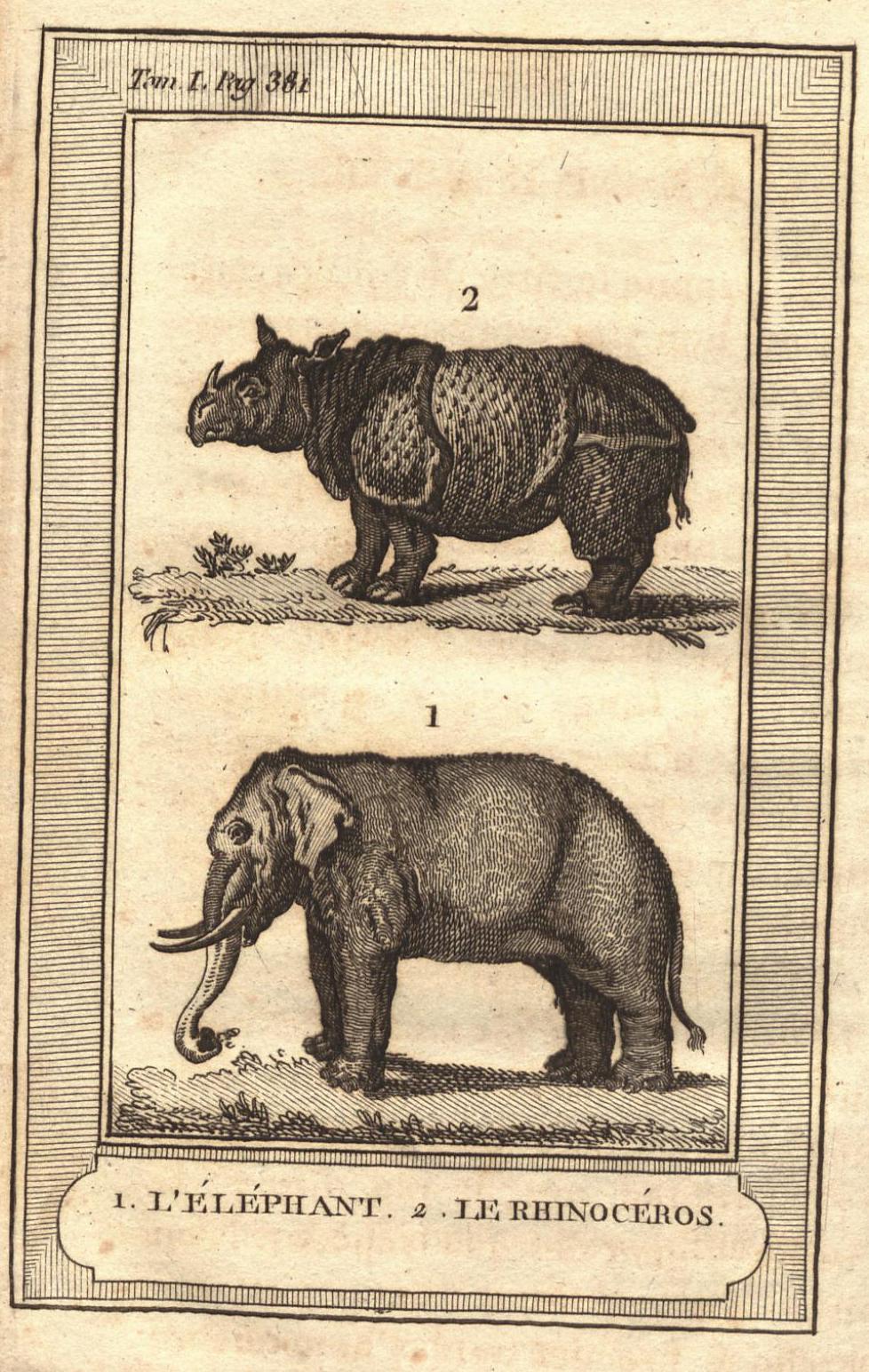 Buffon 1802 Young People edition