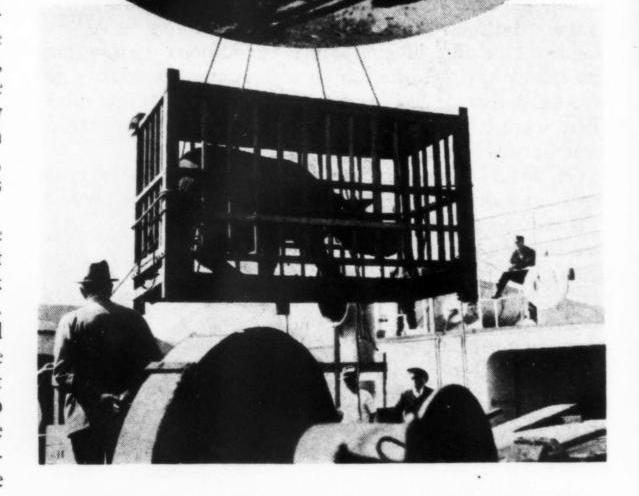 Buck 1923 Transfer of rhino