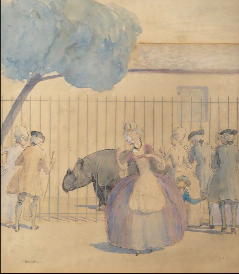 Dresa 1914 Zoo rhino