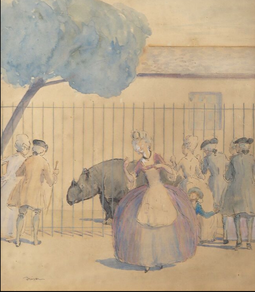 Dresa 1914 Zoo rhino