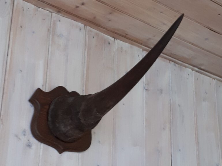 Wertz 1897-1913 Cameroon