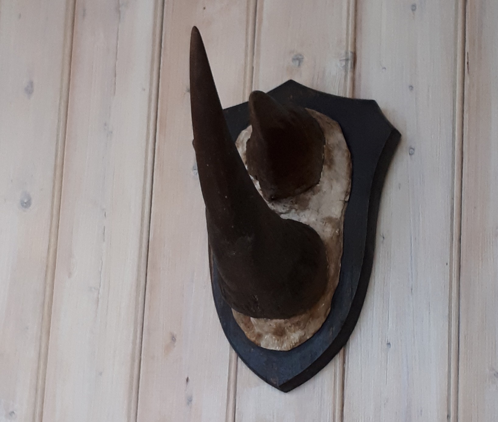 Wertz 1897-1913 Cameroon